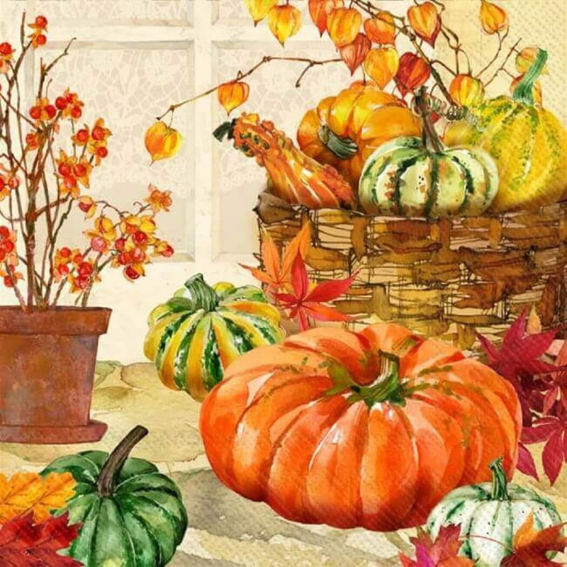 Boston International IHR Paper Cocktail Napkins, Heirloom Pumpkins