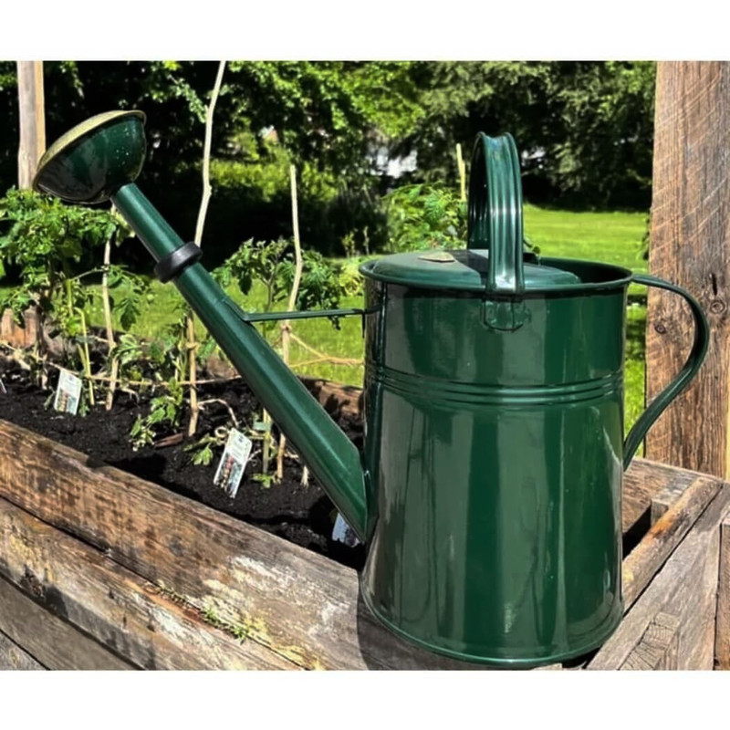 Plint Watering Can, 9 Liter Green