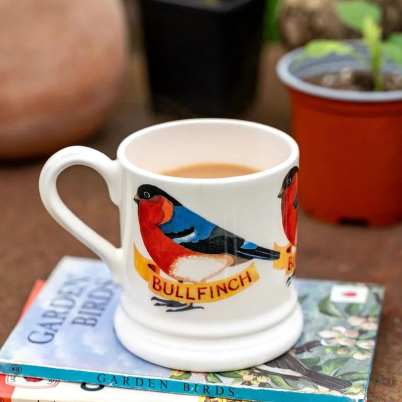 Emma Bridgewater Bullfinch 1/2 Pint Mug
