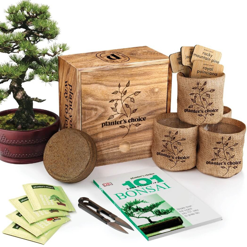 Planter's Choice Bonsai Growing Kit
