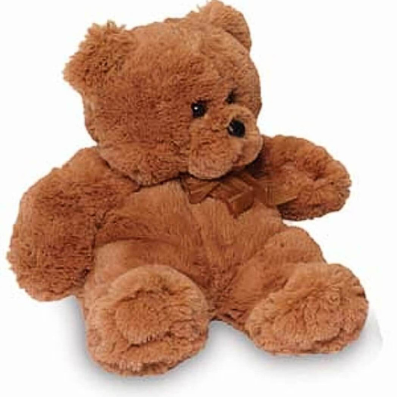 Spa Comforts Cozy Critter Teddy Buddy D Bear