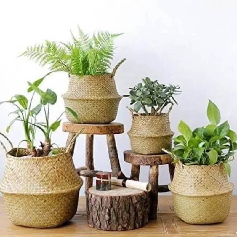Coucou Bamboo Handwoven Seagrass Plant Basket