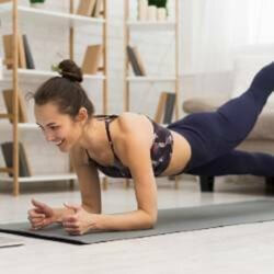 Exercise and Fitness Accessories