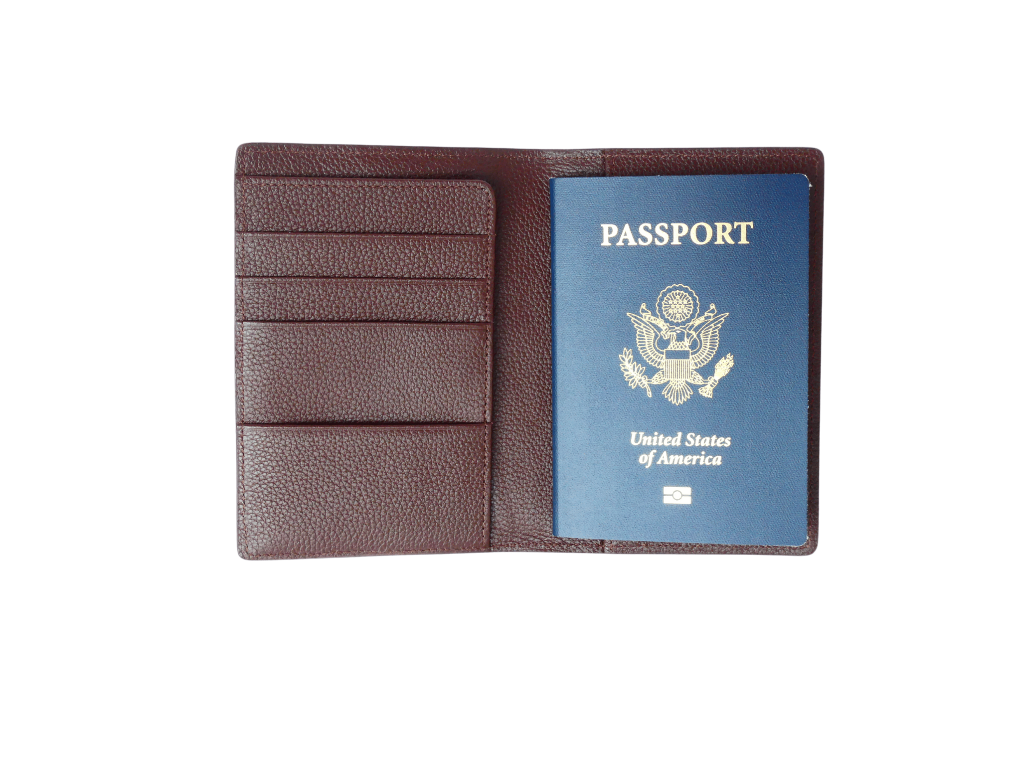 Passport cover Crocodile Mat - Men - Travel