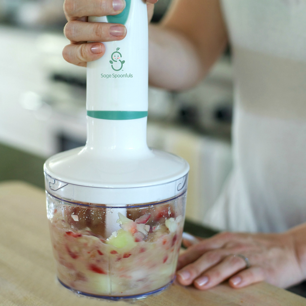 Baby Food Maker - Immersion Hand Blender and Food Processor - Puree & Blend