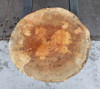 12/4 Spalted Maple Cookie 4138