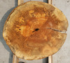 12/4  Spalted Maple Cookie - 4182