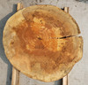 12/4  Spalted Maple Cookie - 4188