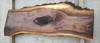 8/4 Walnut Slab W 1061