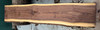 5/4 Walnut Slab 4617