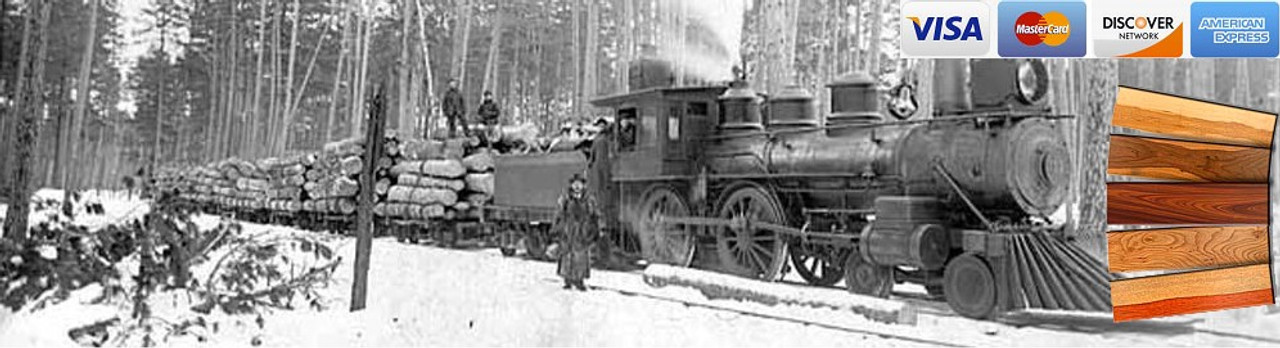 train hauling logs in the winter