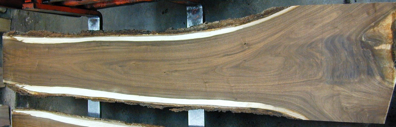 12/4 Walnut Slab - 1233