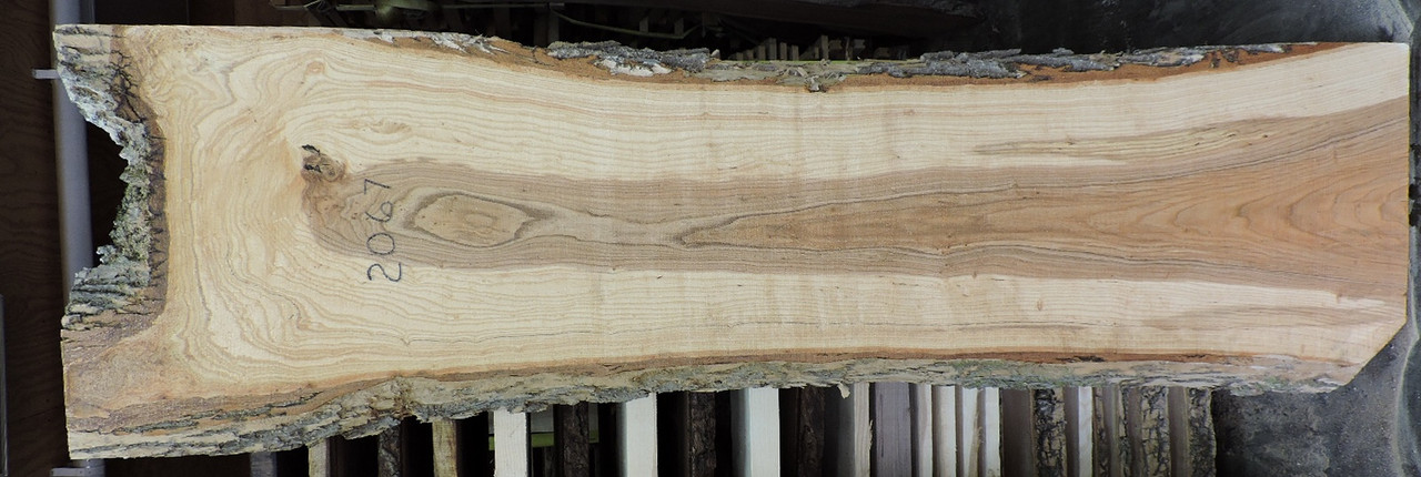 8/4 Ash Live Edge Slab - 2067