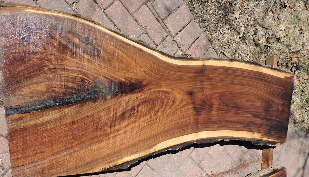 8/4 Walnut Live Edge Slab - 2418.1