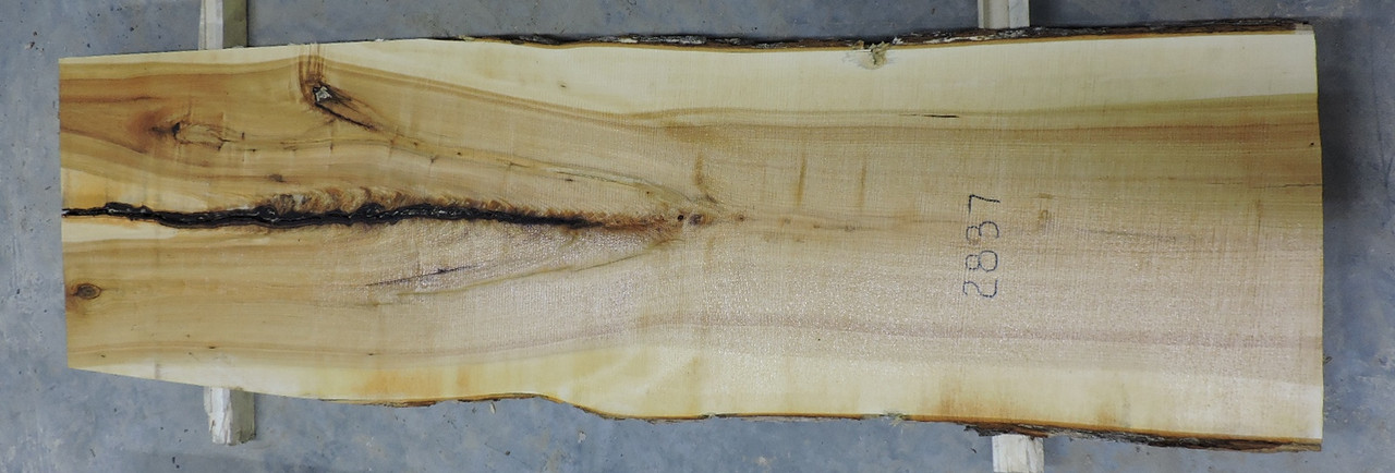 10/4  Hard Maple Live Edge Slab - 2837