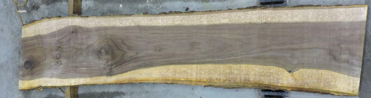 5/4 Walnut Live Edge Slab - 3099