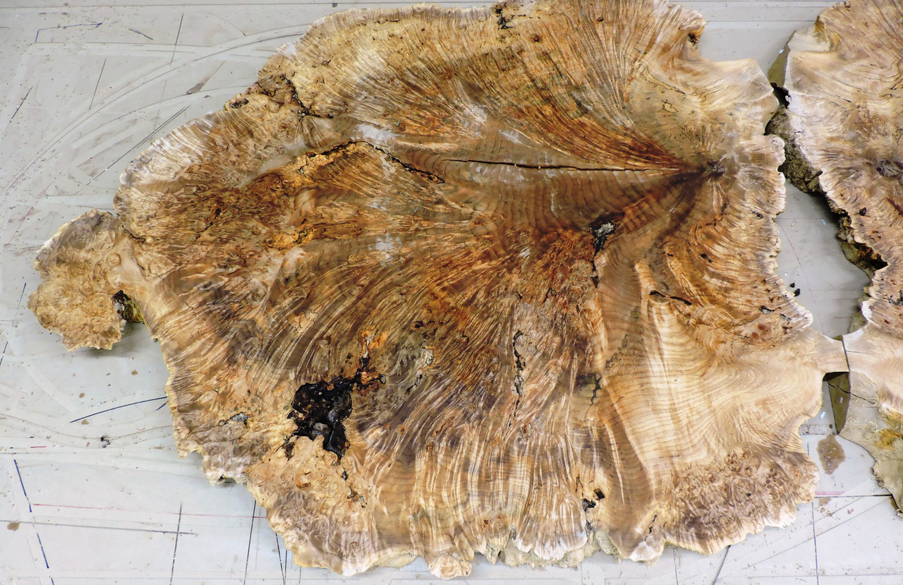 12/4 Big Leaf Maple Burl 3282 - Logs to Lumber Co.