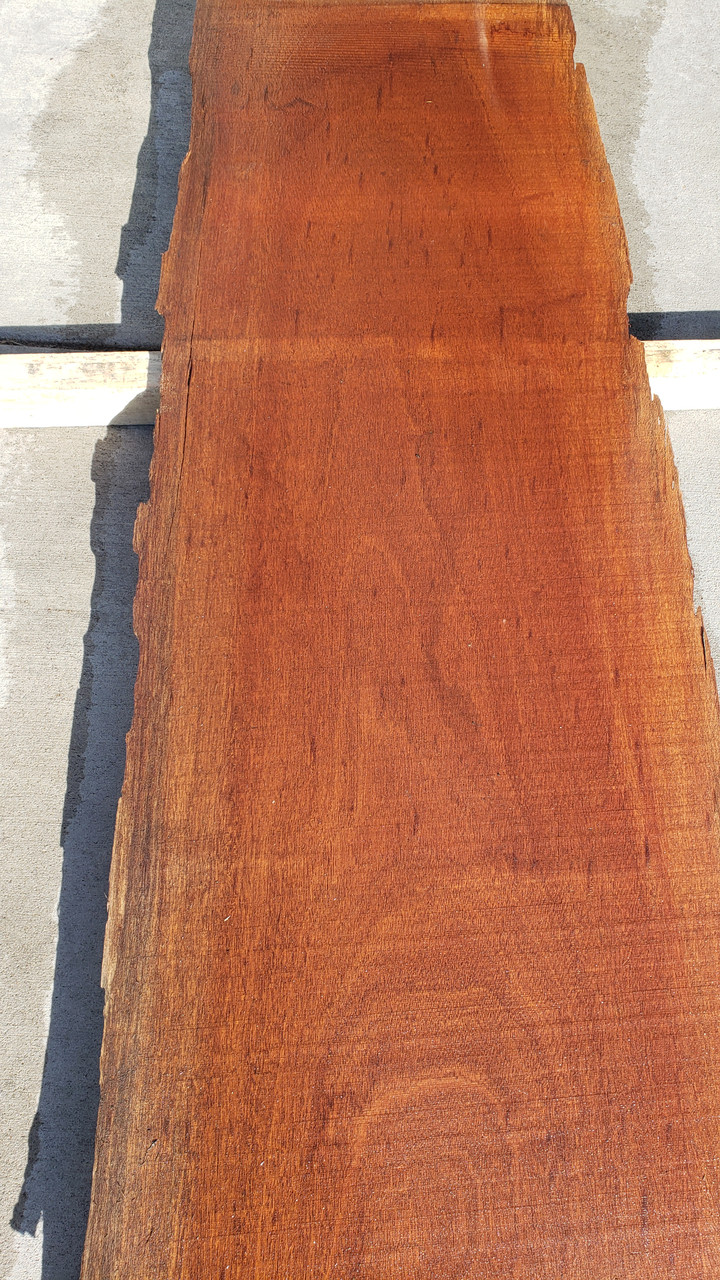 5/4 African Mahogany live edge slab 3608