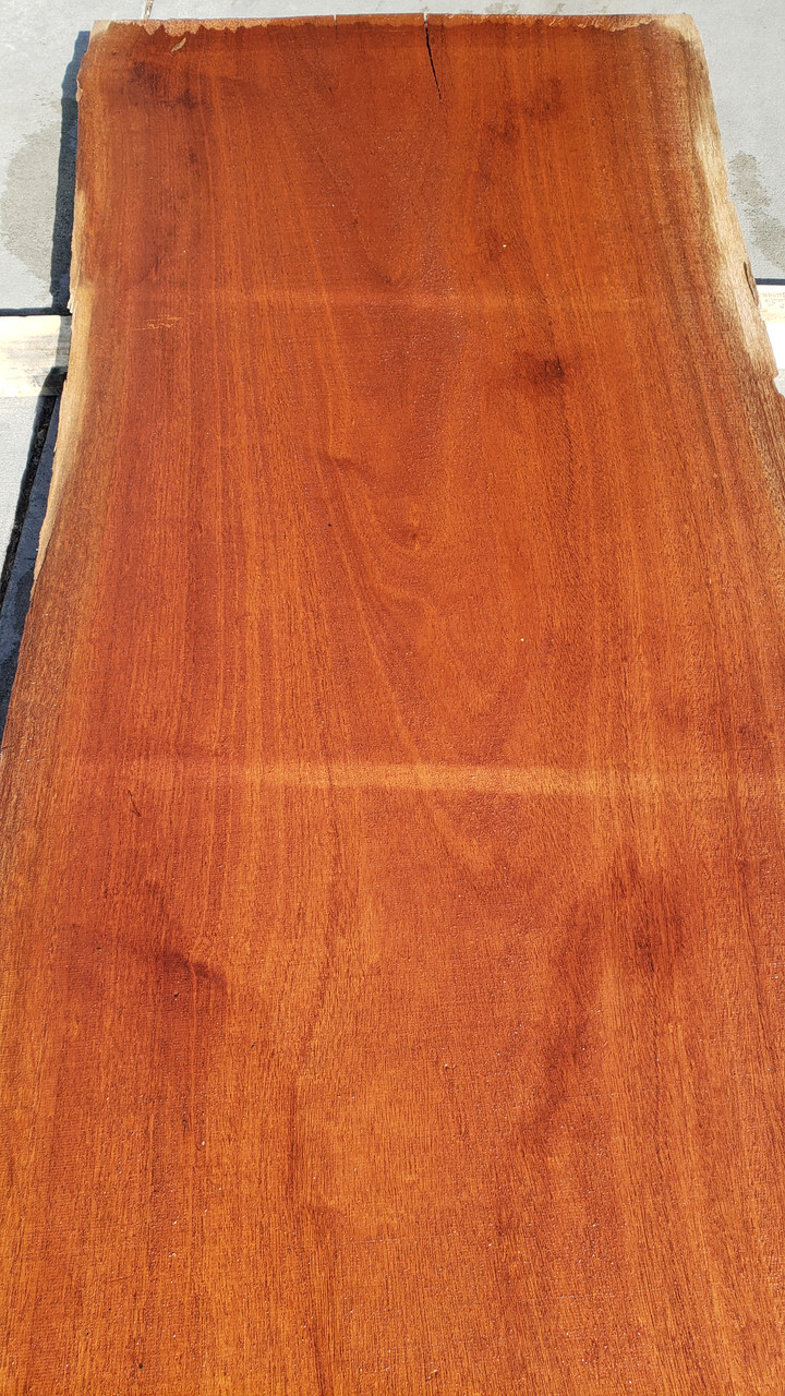 6/4 African Mahogany live edge slab 3609