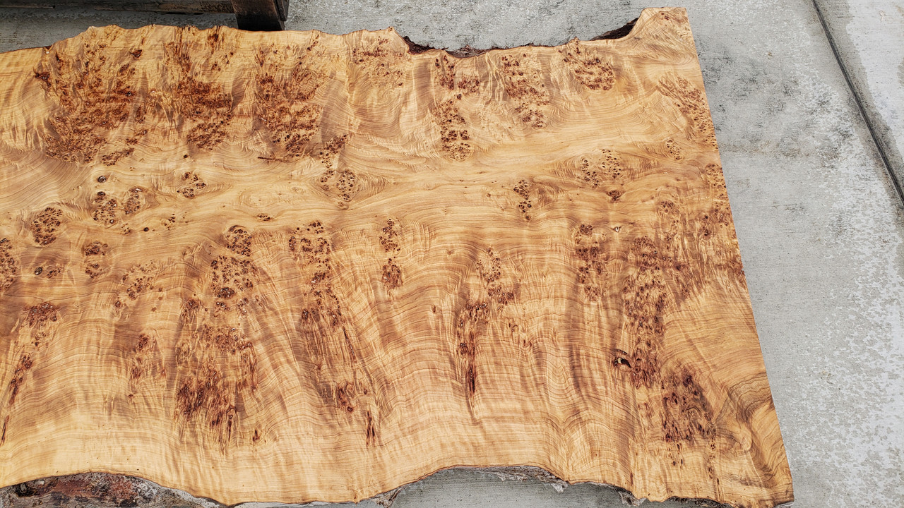 10/4 Mappa Burl Live Edge Slab 4091