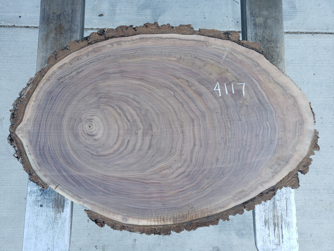 8/4 Walnut Oval 4117