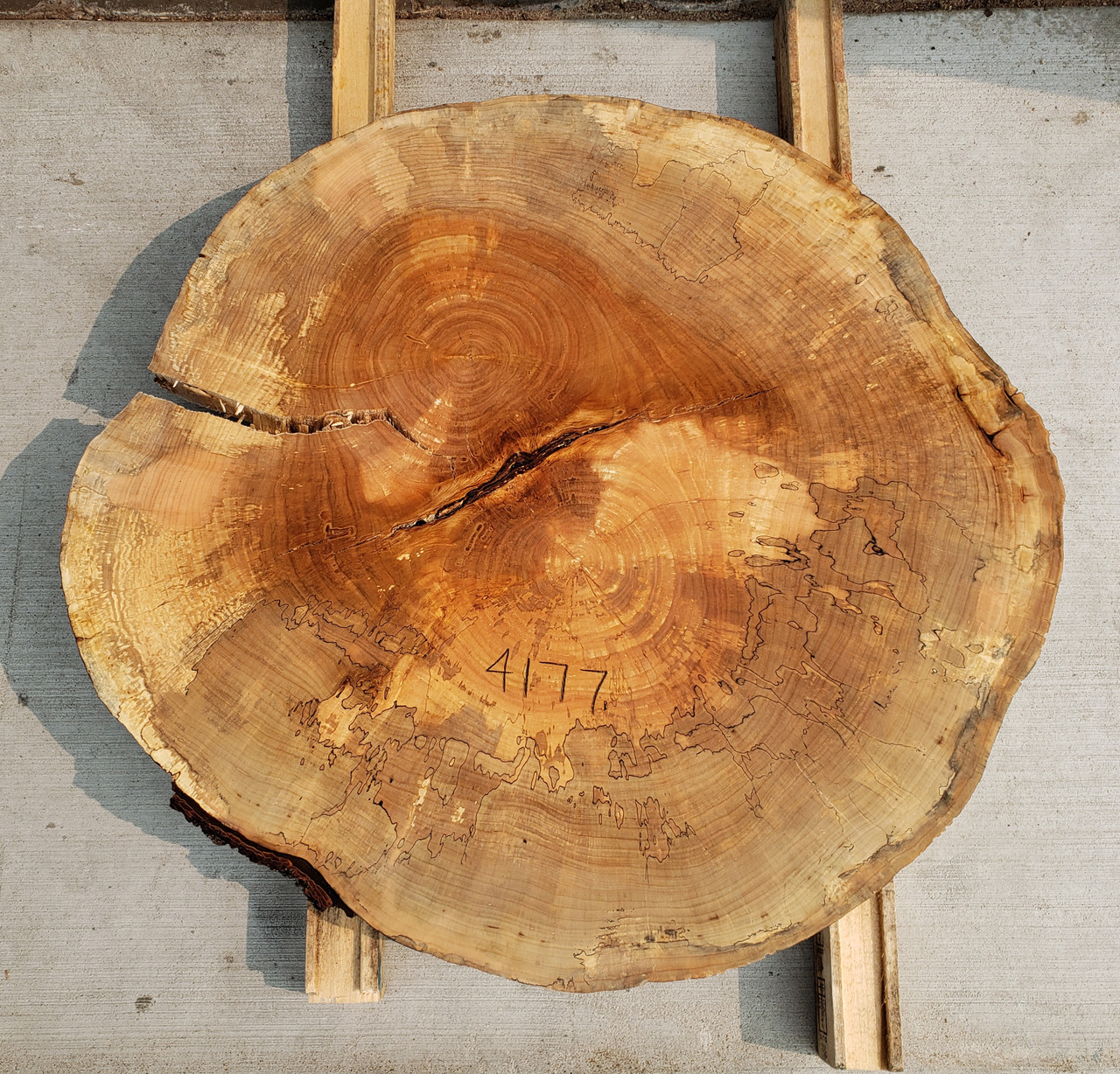 12/4  Spalted Maple Cookie - 4177