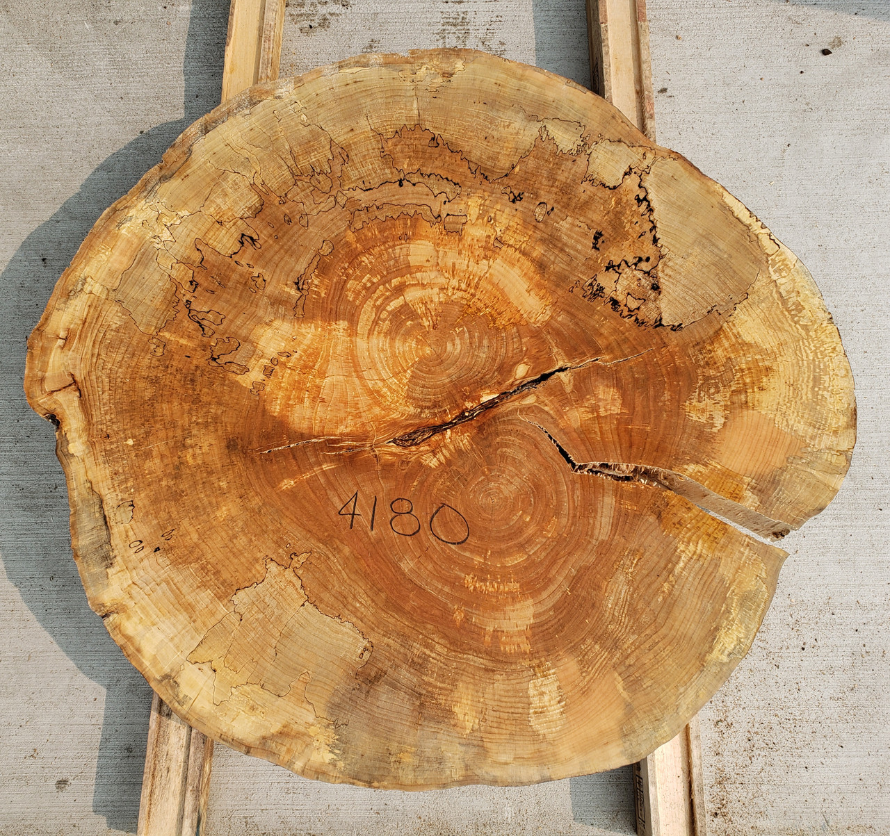 12/4  Spalted Maple Cookie - 4180