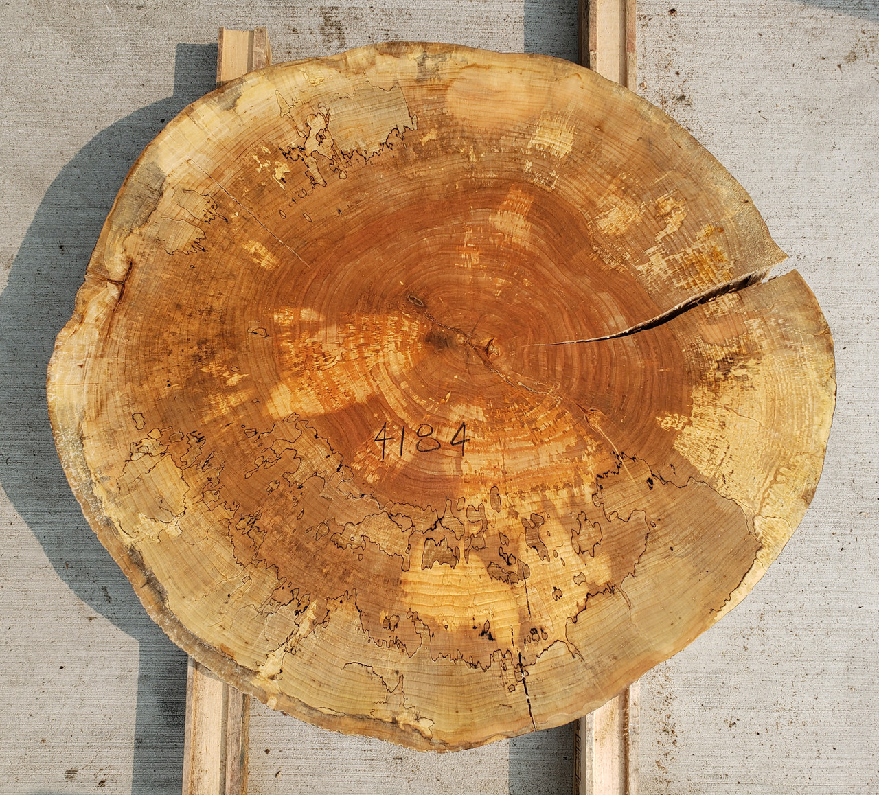 12/4  Spalted Maple Cookie - 4184