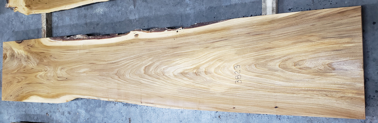 10/4 Elm Live Edge Slab - 3823