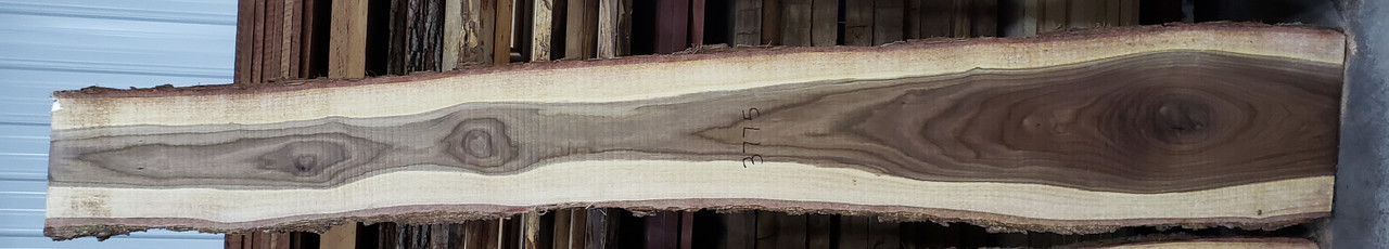 4/4  Walnut Live Edge Slab - 3775