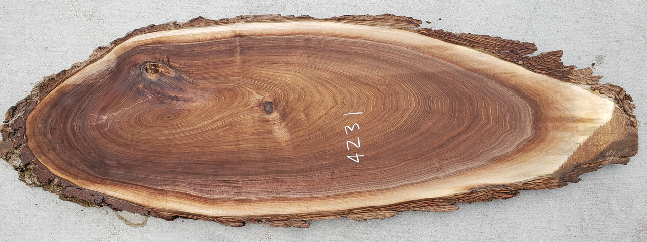 8/4 Walnut Oval - 4231