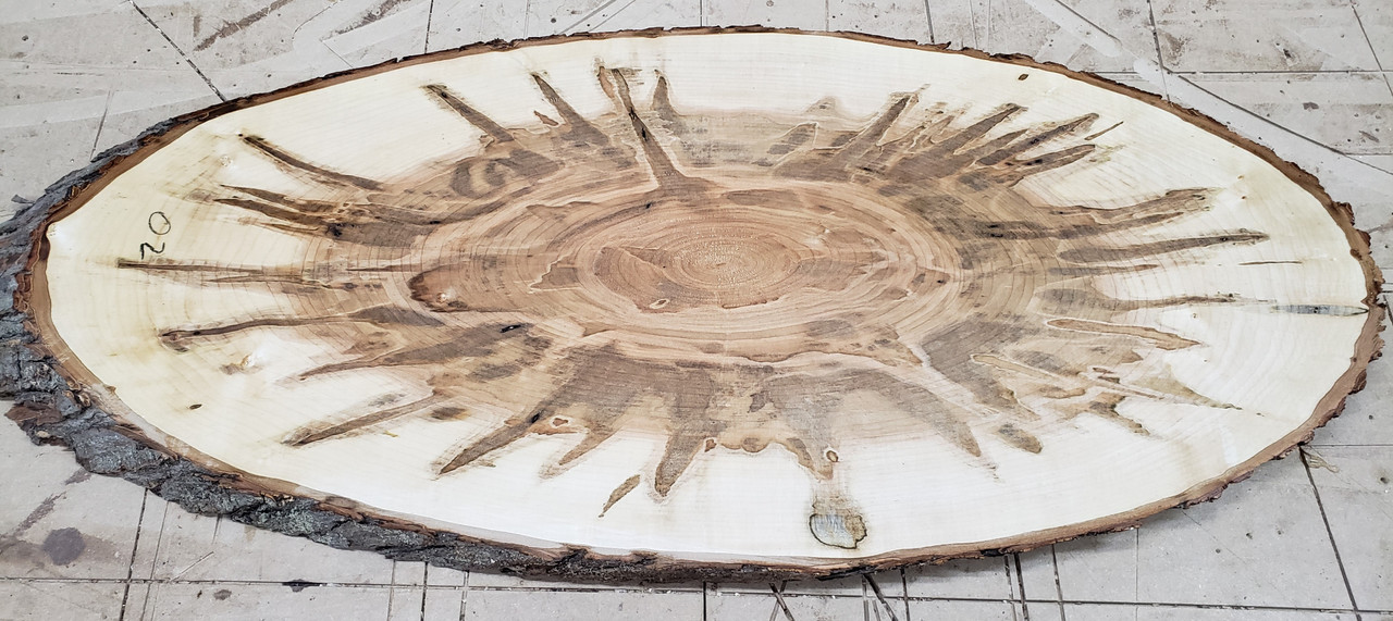 5/4 Ambrosia Maple Oval - 02