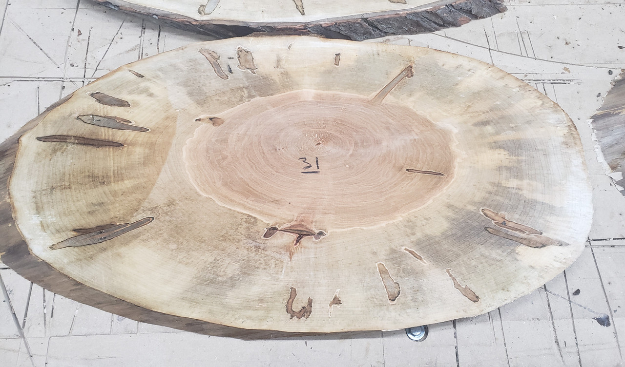 5/4 Ambrosia Maple Oval - 31