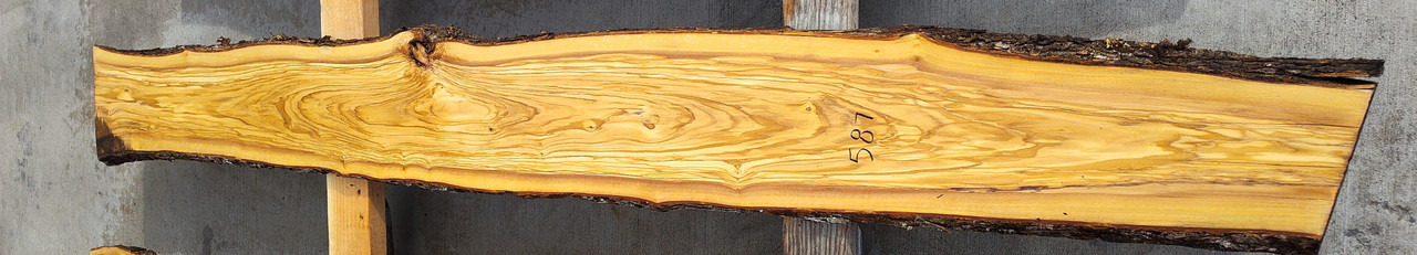 5/4 Olivewood surfaced live edge slab 587