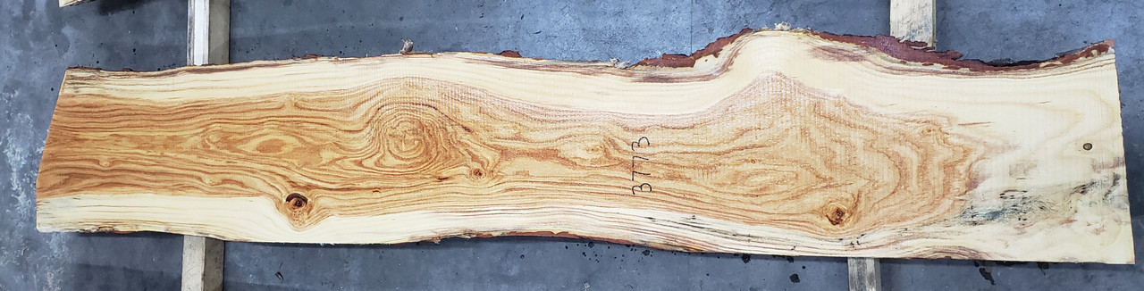 6/4 Honey Locust Live Edge Slab - 3773 - Logs to Lumber Co.