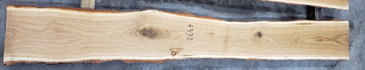 4/4 White Oak Live Edge Slab - 4392