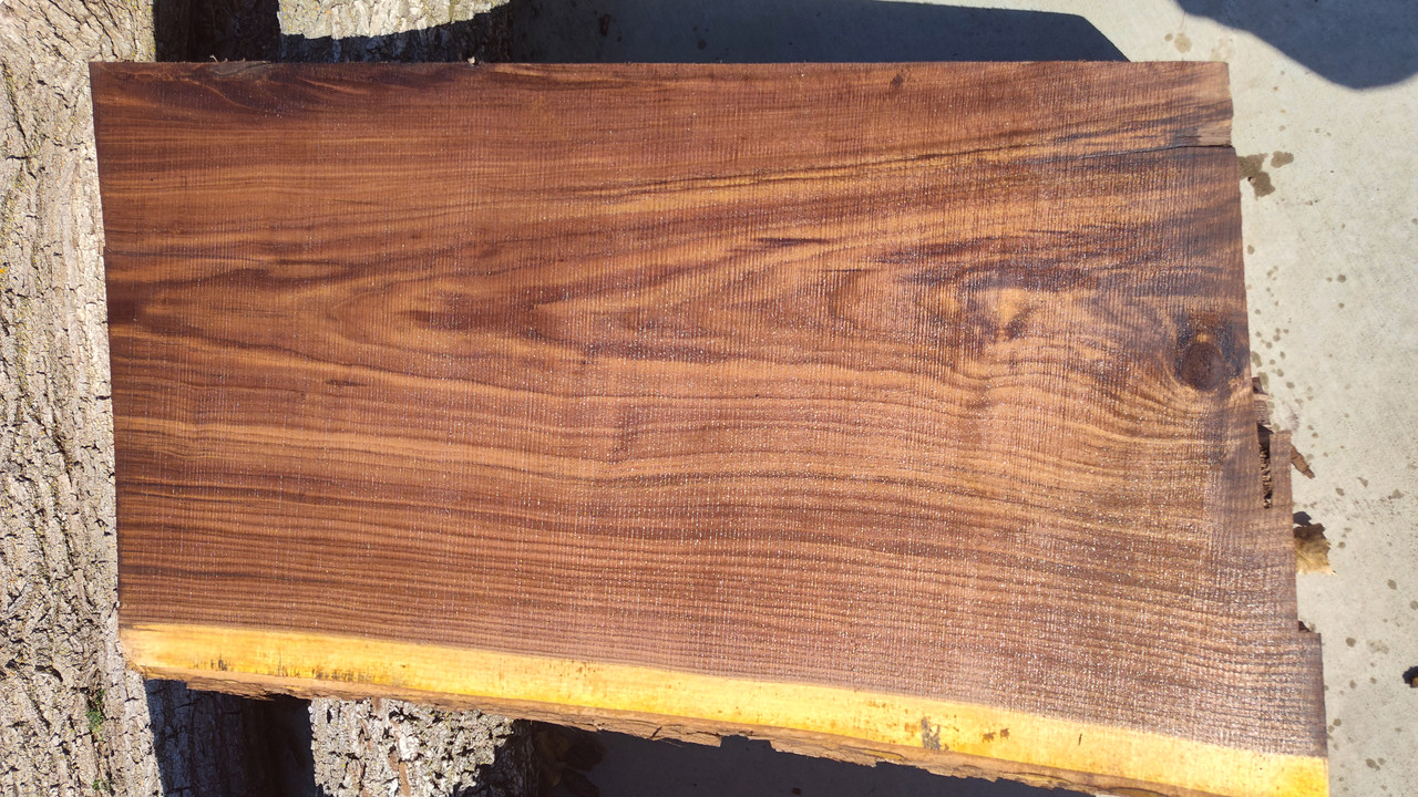 13/4 Walnut Slab 922