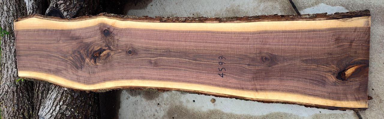 5/4 Walnut Slab 4599