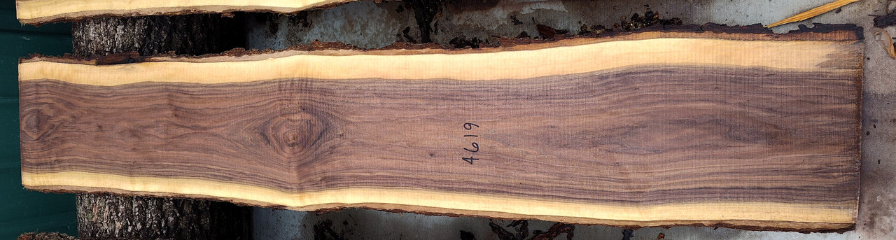 4/4 Walnut Slab 4619