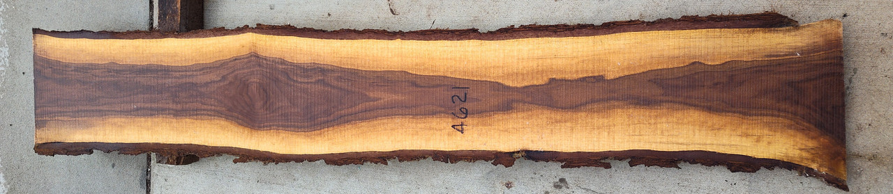 5/4 Walnut Slab 4621