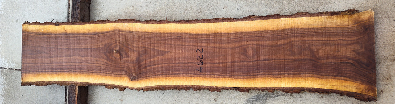 5/4 Walnut Slab 4622