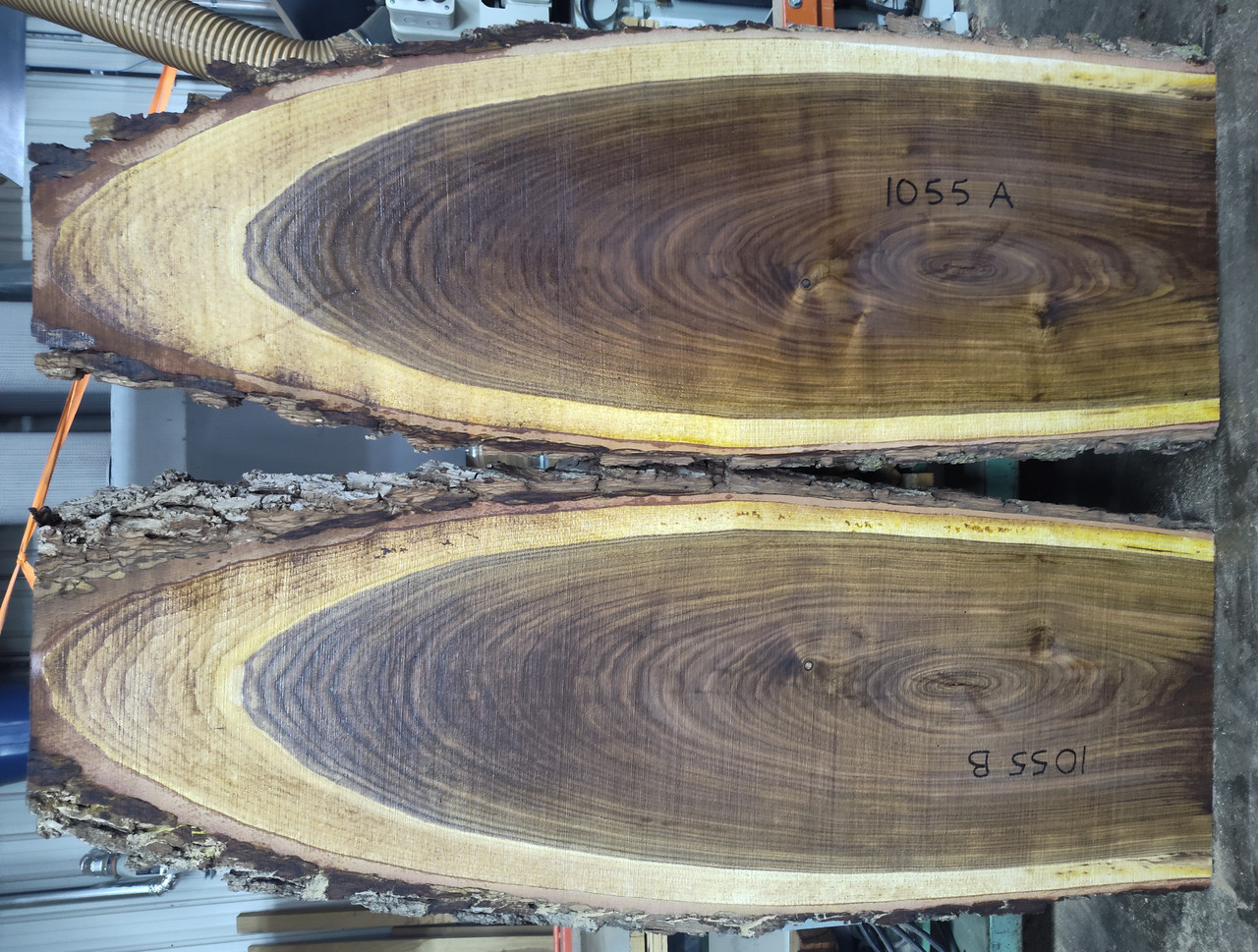 8/4 Bookmatched Walnut Cookies - 1055 AB