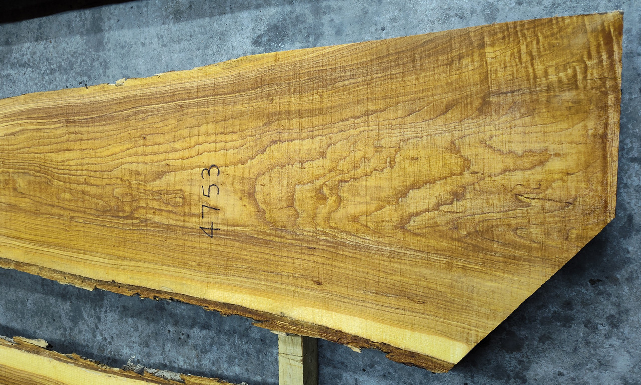8/4 Ash Live Edge Slab -4753