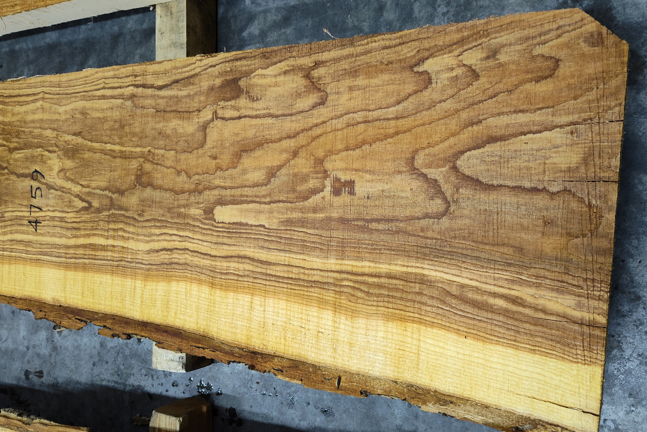 8/4 Ash Live Edge Slab -4759
