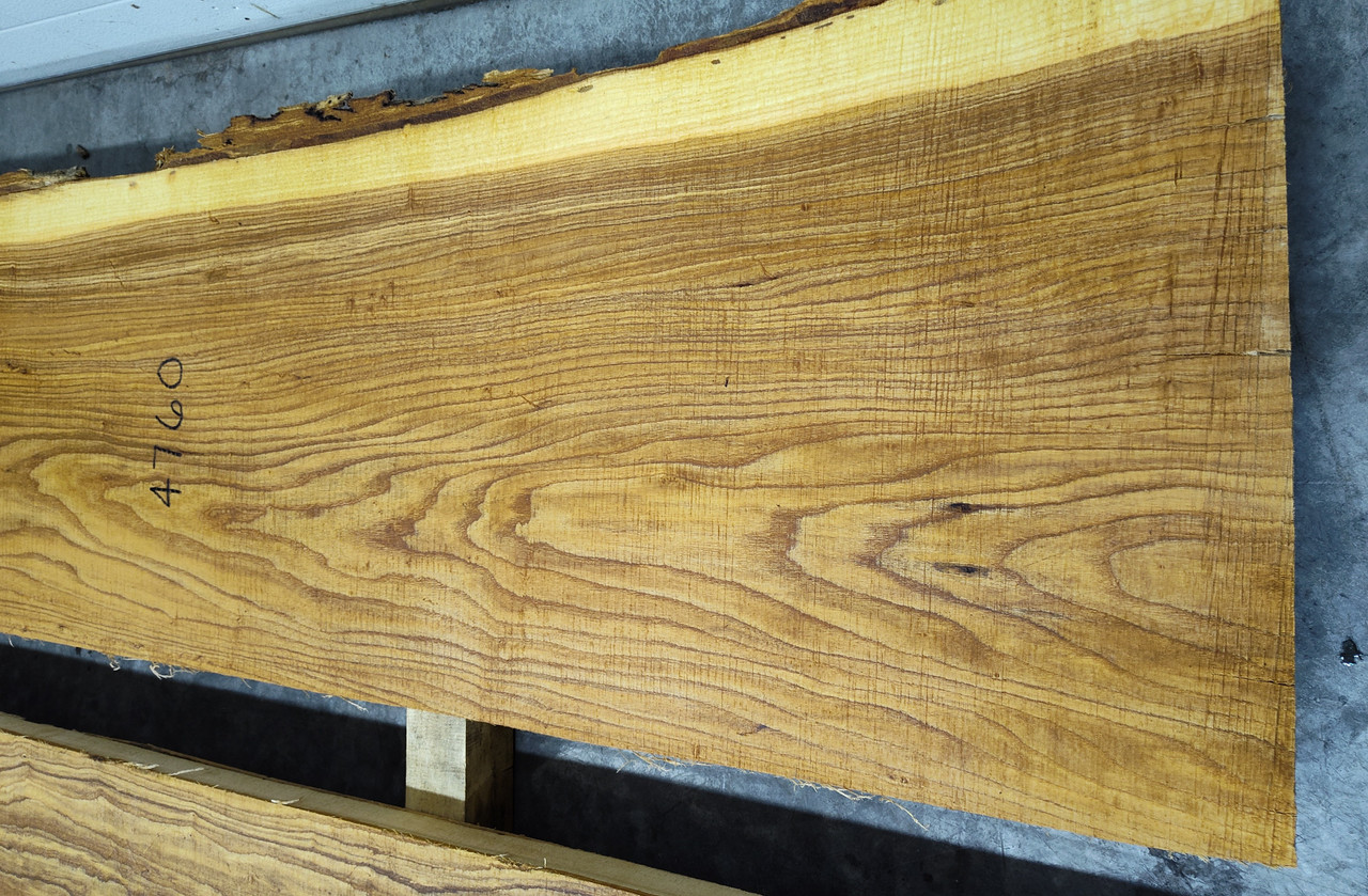 12/4 Ash Live Edge Slab -4760