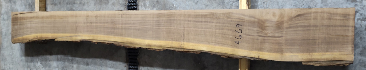 10/4 Walnut Live Edge Slab -4669