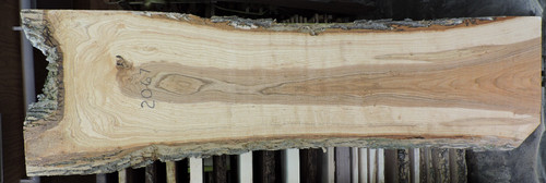 Ash Natural Edge Slab #12-15-20-02