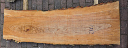 Ash Wood Cross Section - Live Edge Wood Slice - 10.5 x 24 x 3/4