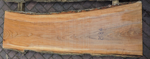 Ash Wood Cross Section - Live Edge Wood Slice - 10.5 x 24 x 3/4