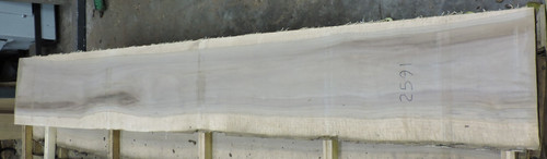 8/4 Walnut Live Edge Slab - 2591